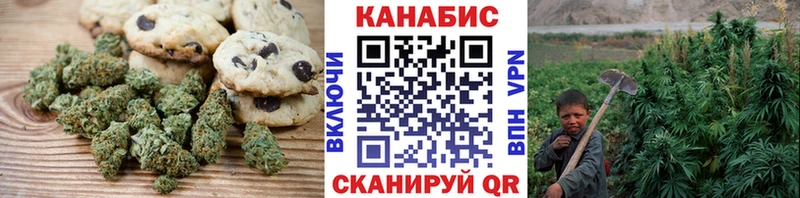 Canna-Cookies конопля  Луга 
