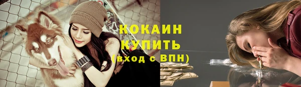 дмт Абаза