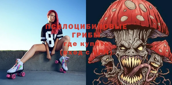 ГАЛЛЮЦИНОГЕННЫЕ ГРИБЫ Абдулино