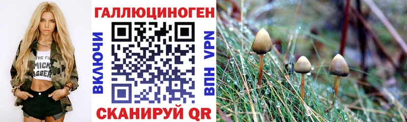 Псилоцибиновые грибы Magic Shrooms  Луга 