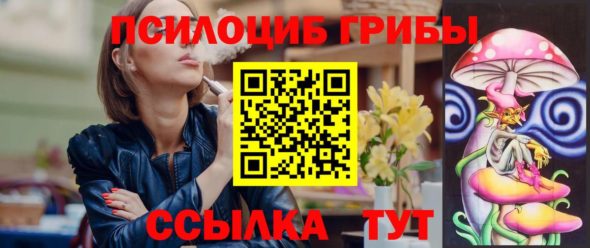 Псилоцибиновые грибы Psilocybine cubensis Луга